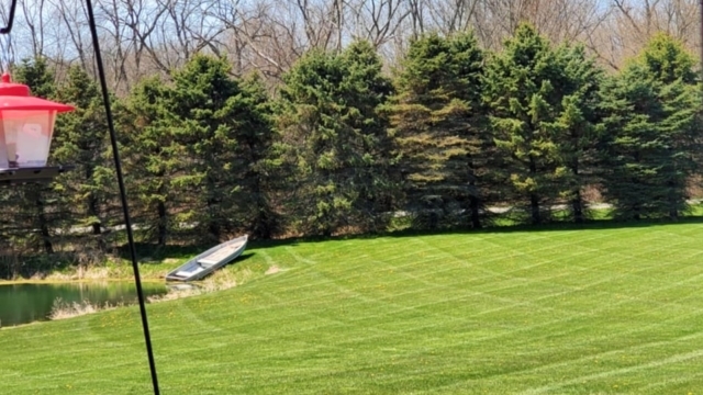 Backyard Cut By A Pond.