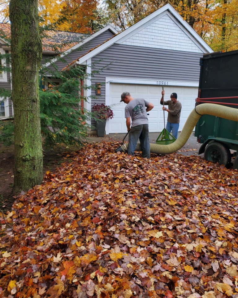 Cleaning A Pile Of Leaves
