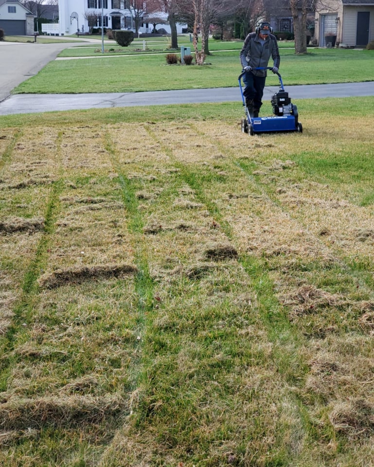 Dethatching A Lawn