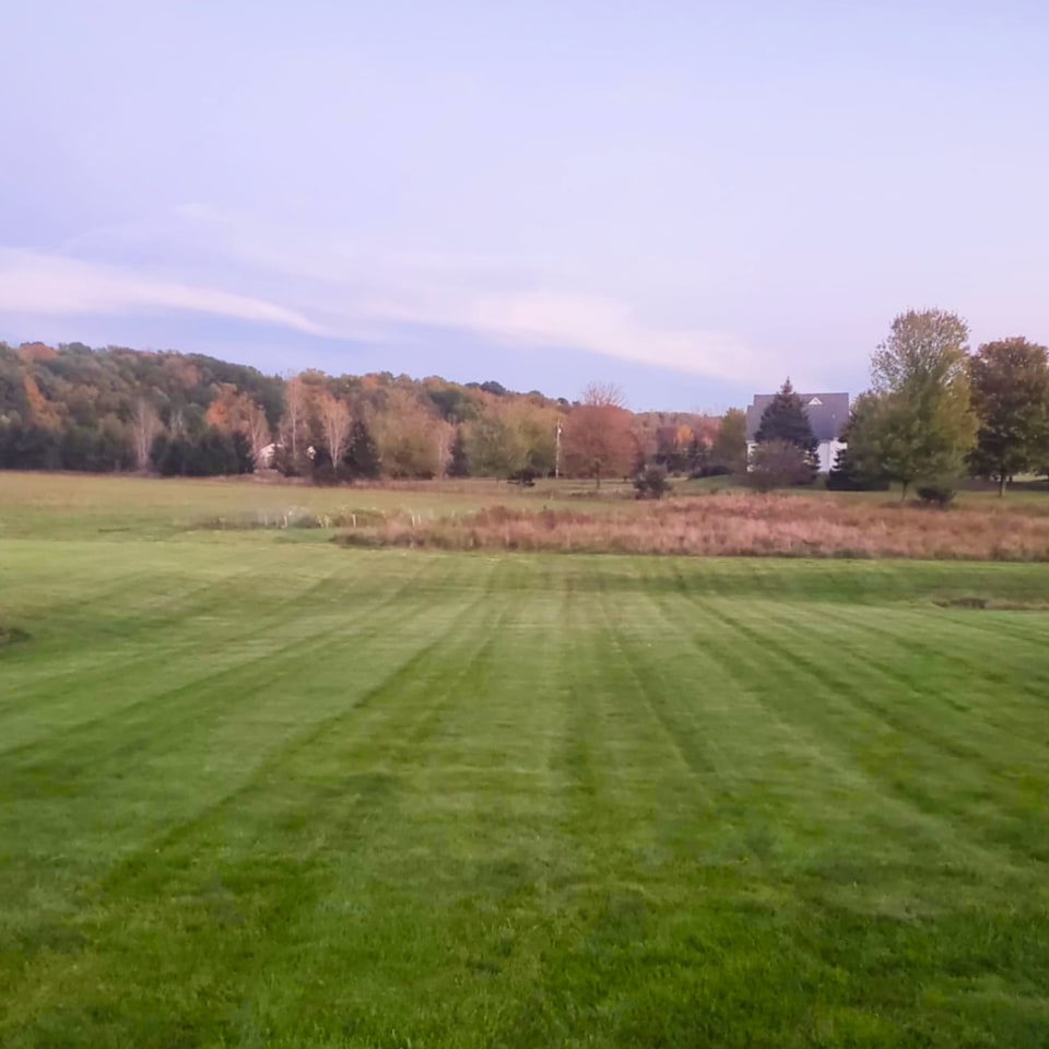 Lawncare Back Field
